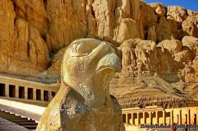 1 üzleti kép LILIOMDIVERS LTD.