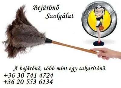 3 üzleti kép PROFI VASALÁS PÉCS