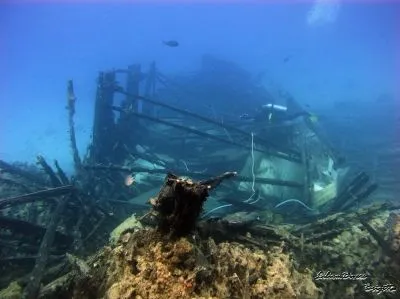 18 üzleti kép LILIOMDIVERS LTD.