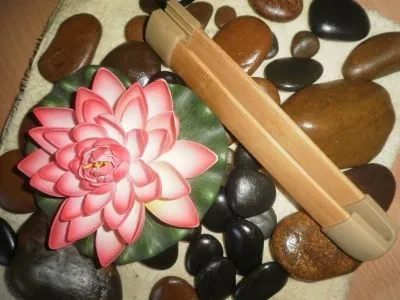 5 üzleti kép EGÉSZSÉG STÚDIÓ