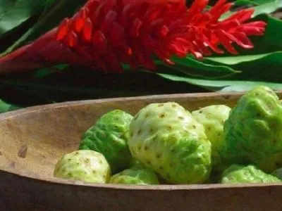 4 üzleti kép EREDETI TAHITIAN NONI RENDELÉS 5500 FT/L-TŐL.- AJÁNDÉK KÖNYV! 06-70-511-2961