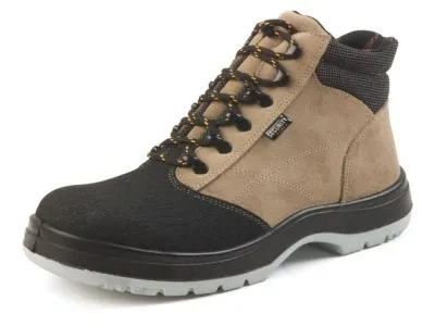 1 üzleti kép GRANDIS KFT.