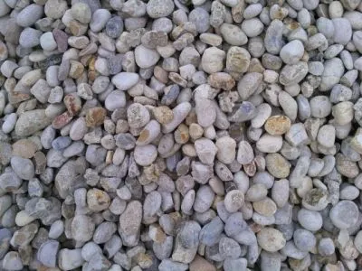 7 üzleti kép PANNON-FUVAR 2000 KFT.