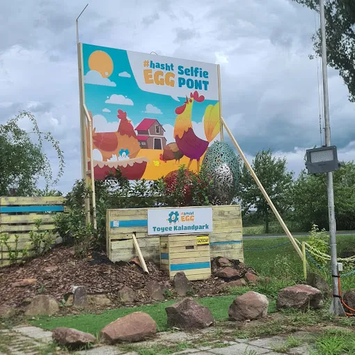 6 üzleti kép #HASHTEGG TOYEE KALANDPARK