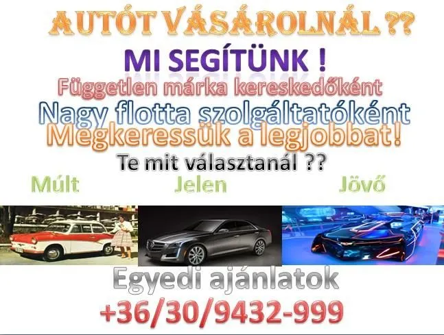 5 üzleti kép SOMOGY TEAM HUNGARY