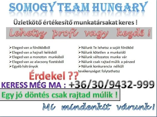 6 üzleti kép SOMOGY TEAM HUNGARY