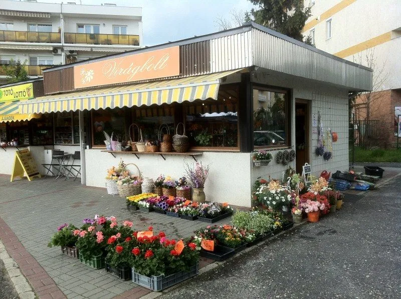 1 üzleti kép ARAD UTCAI VIRÁGBOLT