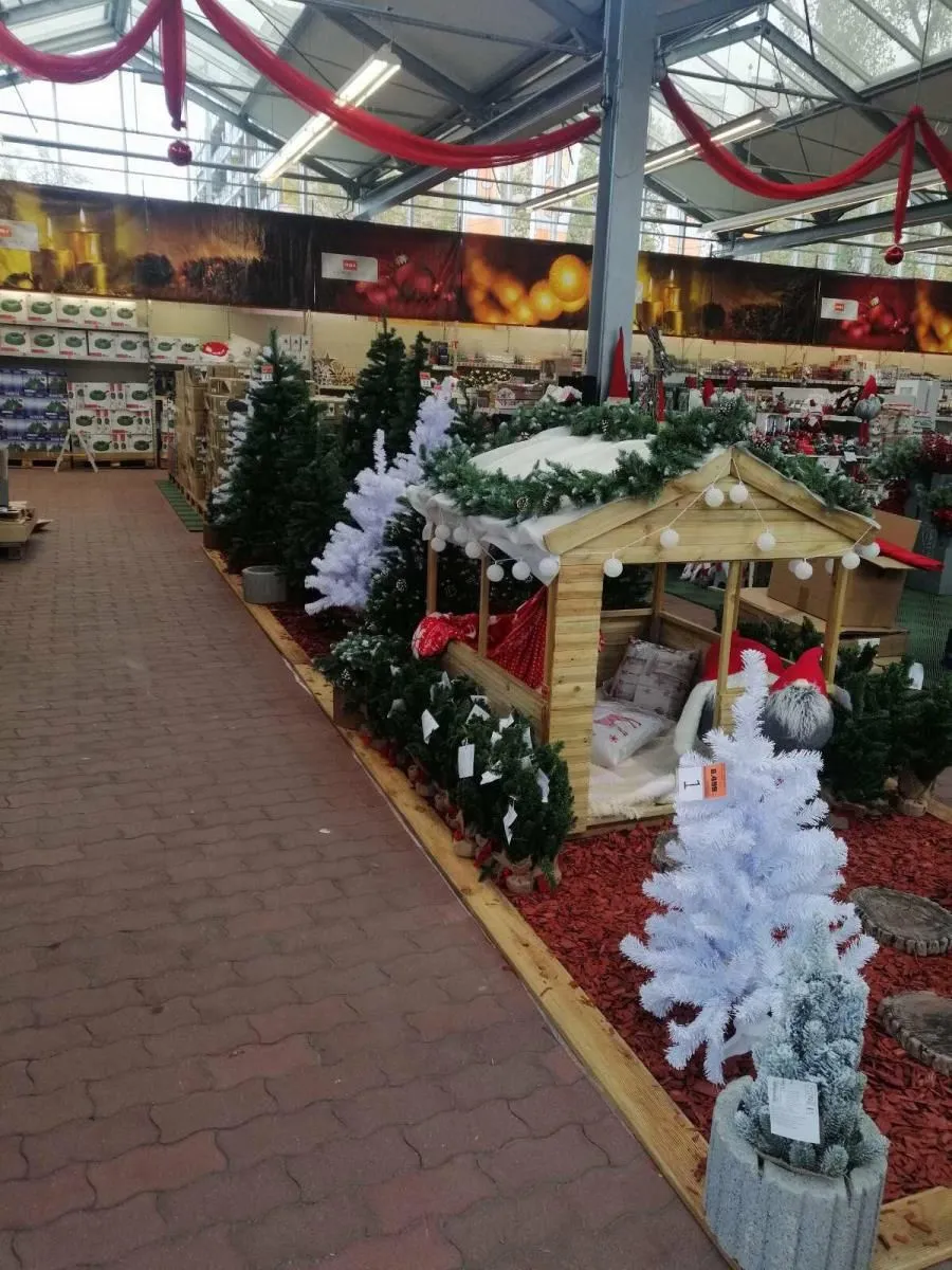 3 üzleti kép OBI ÁRUHÁZ BÉKÉSCSABA