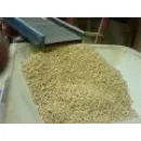 NAP-SZÁM COMPUTER SZAKÜZLET Számítógépek és szoftverek ban/ben Békéscsaba BC