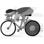 ZENTAI LAJOS - BRINGACENTRUM