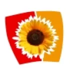 BEREGSZÁSZI-KÁNTOR NAPRAFORGÓMAG