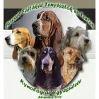 MEOE BASSET HOUND KLUB