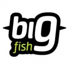 BIG FISH INTERNET-TECHNOLÓGIAI KFT.
