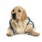 ÓCEÁN FÜRDŐSZOBA SZAKÜZLET