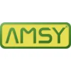 AMSY INTERNATIONAL KFT.