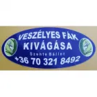 HORVÁTH ÉS TÁRSAI KÖNYVVIZSGÁLÓ ÉS ADÓTANÁCSADÓ KFT.