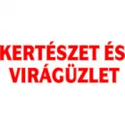 KÍNAI ÁRUHÁZ