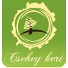 CSEKEYKERT